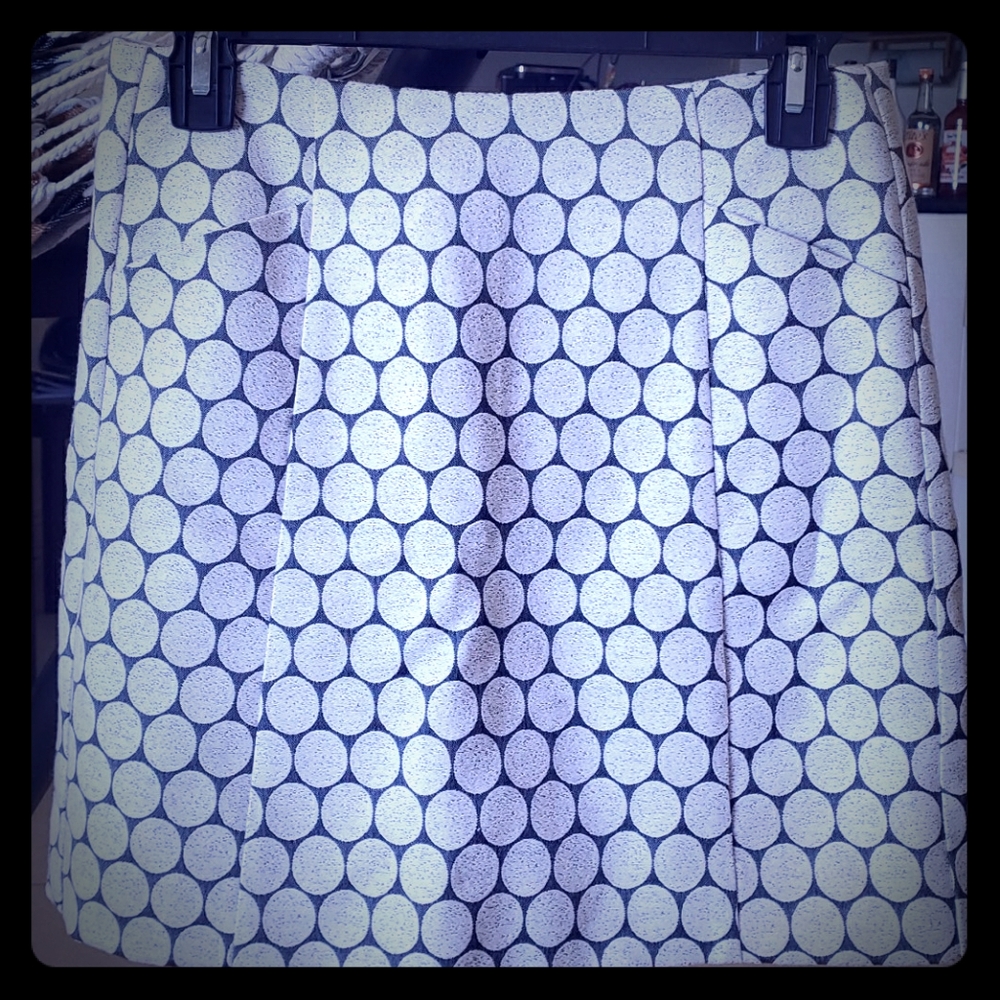 Jcrew Skirt